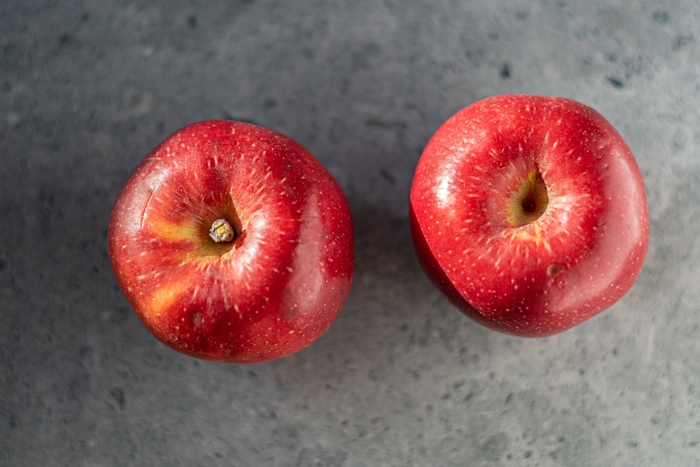 Spitzenburg Apple - Apple 'Spitzenburg' from E.C. Brown's Nursery