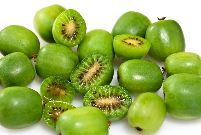 'Issai' Hardy Kiwi - Actinidia arguta from E.C. Brown's Nursery