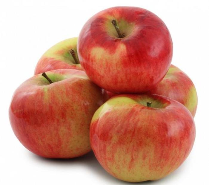 Cortland Apple - Apple 'Cortland' from E.C. Brown's Nursery Cortland Apple - Apple 'Cortland' from E.C. Brown's Nursery