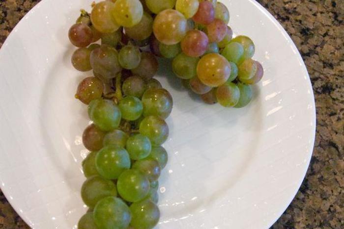 Swenson Grape - Vitis 'Swenson' from E.C. Brown's Nursery Swenson Grape - Vitis 'Swenson' from E.C. Brown's Nursery