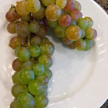 Vitis 'Swenson' - Swenson Grape